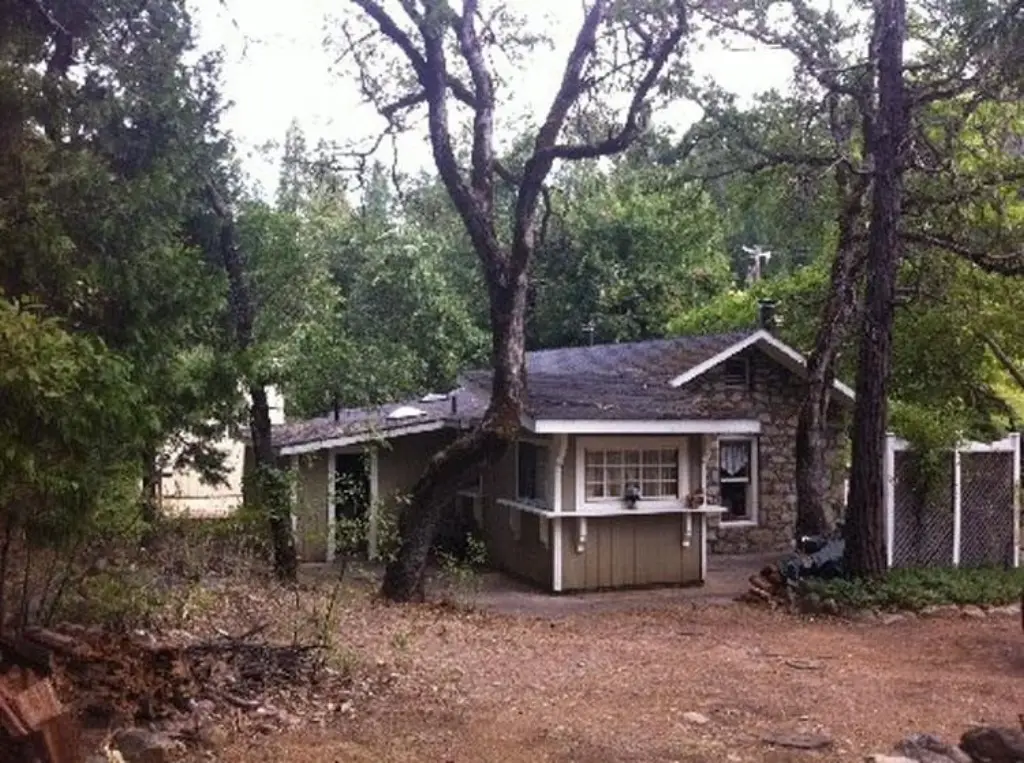 Picture 8