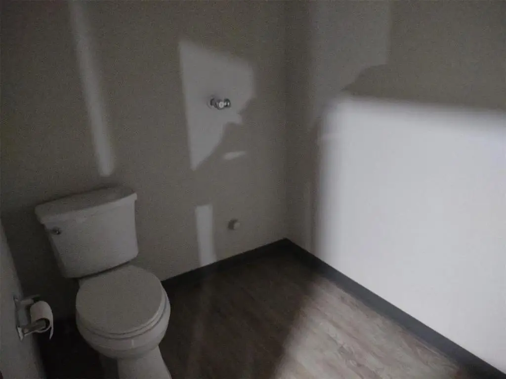 Picture 5