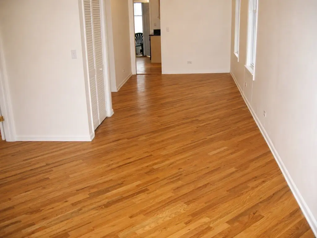 Picture 12
