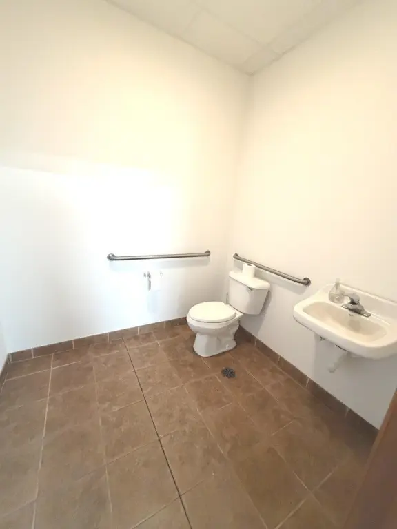 Picture 4