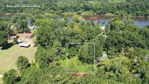 Wooded Lot Near Alabama River