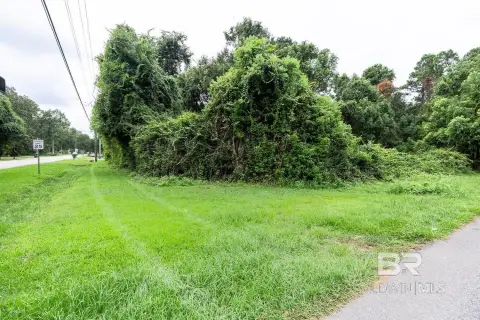 Oversized Wooded Lot in Daphne