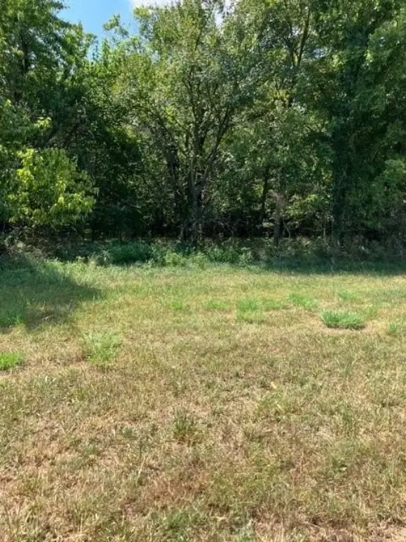 Picture 5