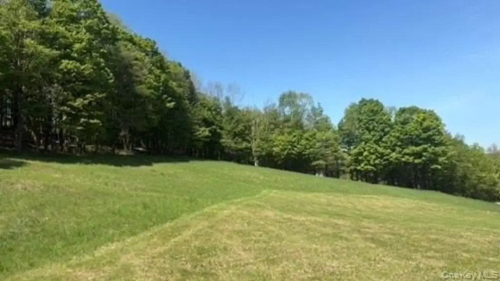 Picture 15