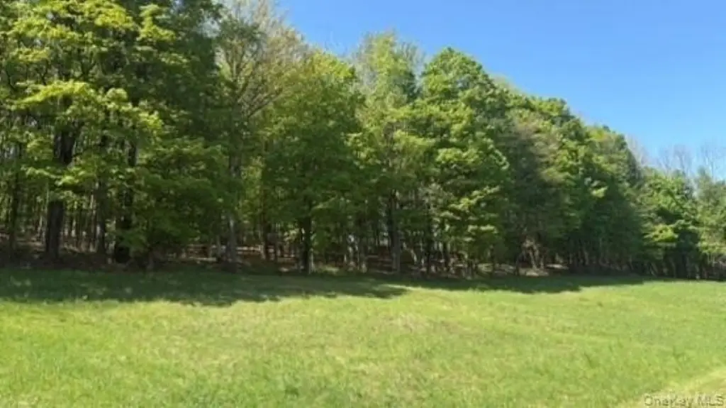 Picture 7