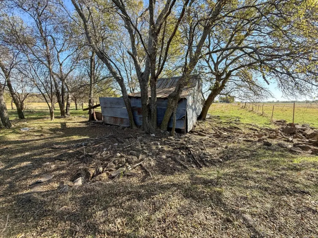 Picture 54