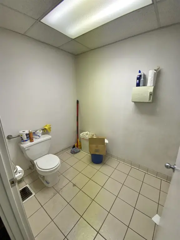 Picture 13