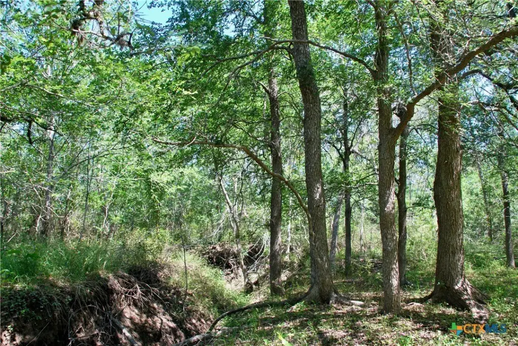 Picture 14