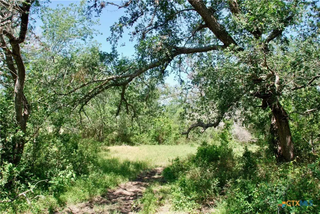 Picture 11