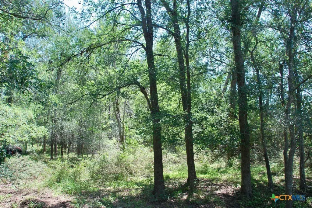 Picture 15