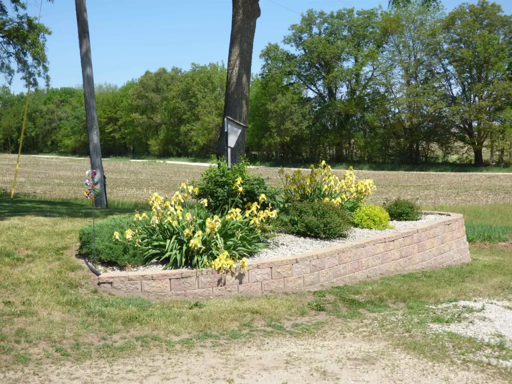 Picture 22