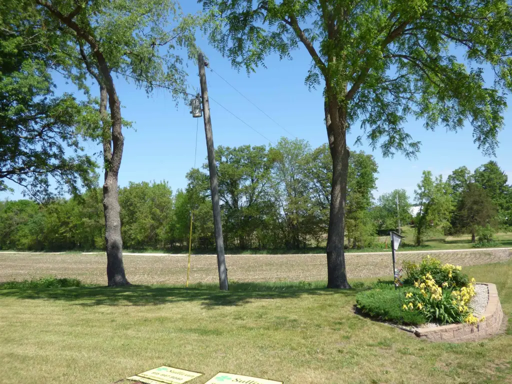 Picture 23