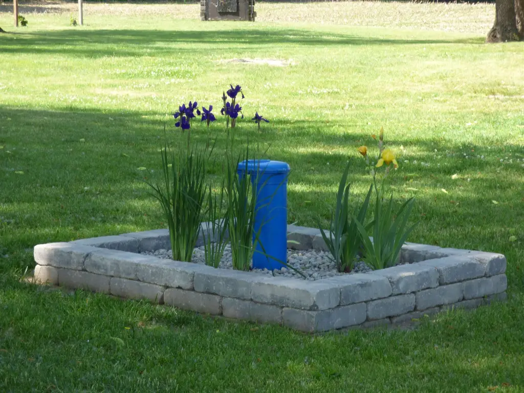 Picture 24