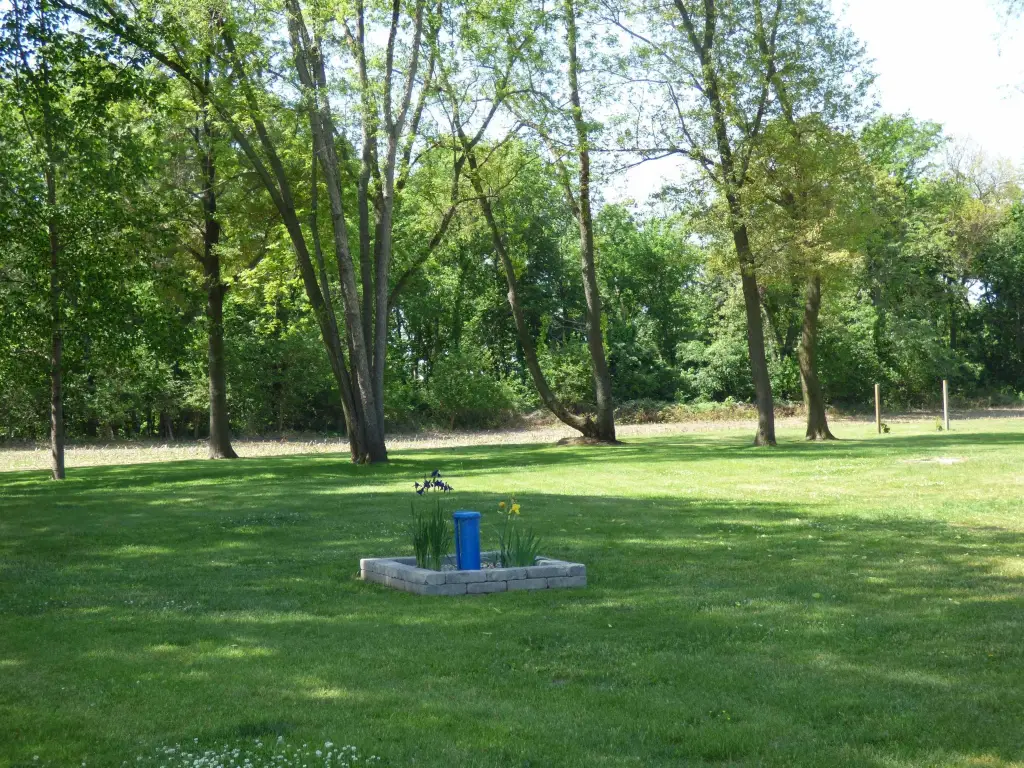 Picture 25