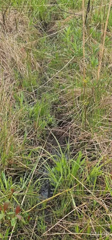 Picture 13