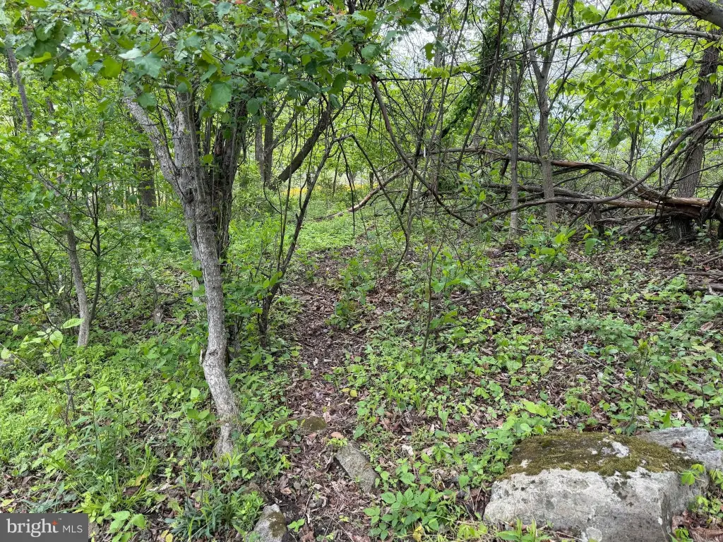 Picture 46
