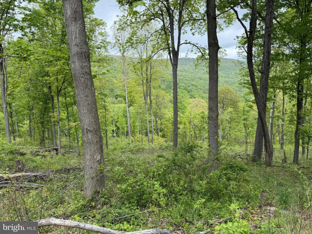 Picture 42