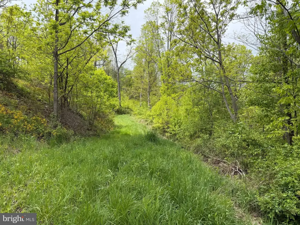 Picture 41