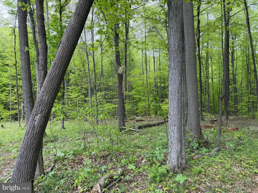 Picture 63