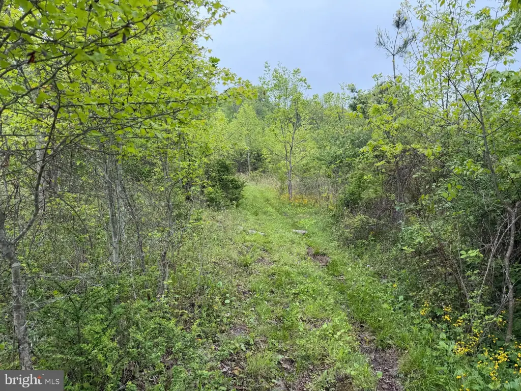 Picture 48
