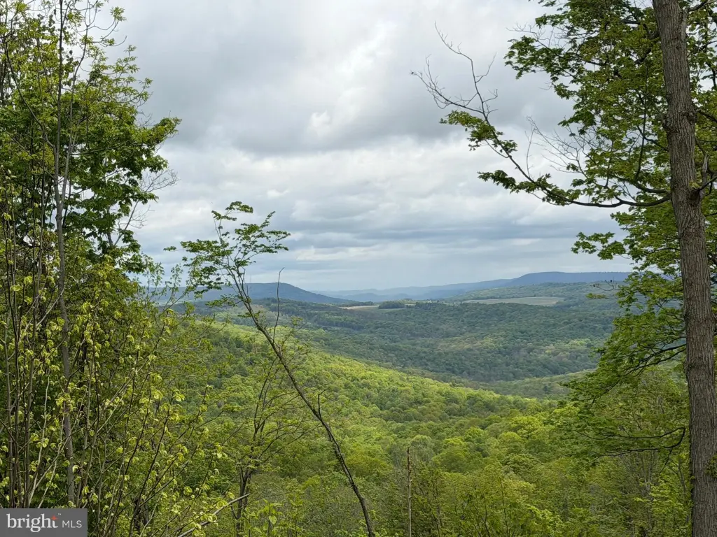Picture 28