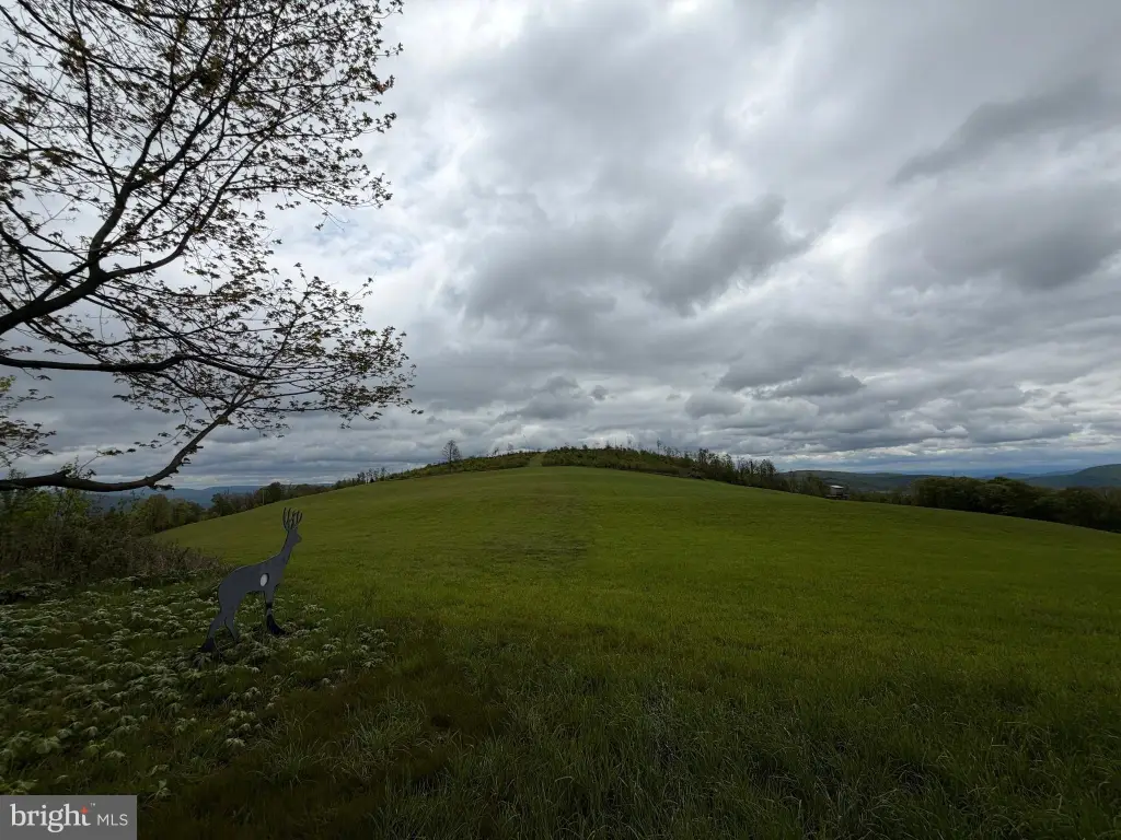 Picture 21