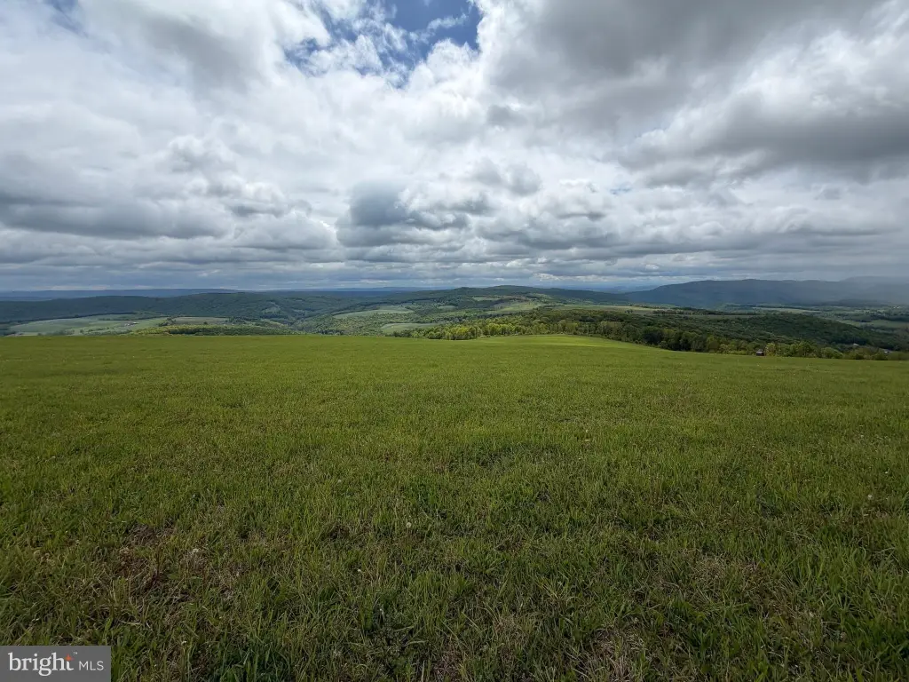 Picture 20