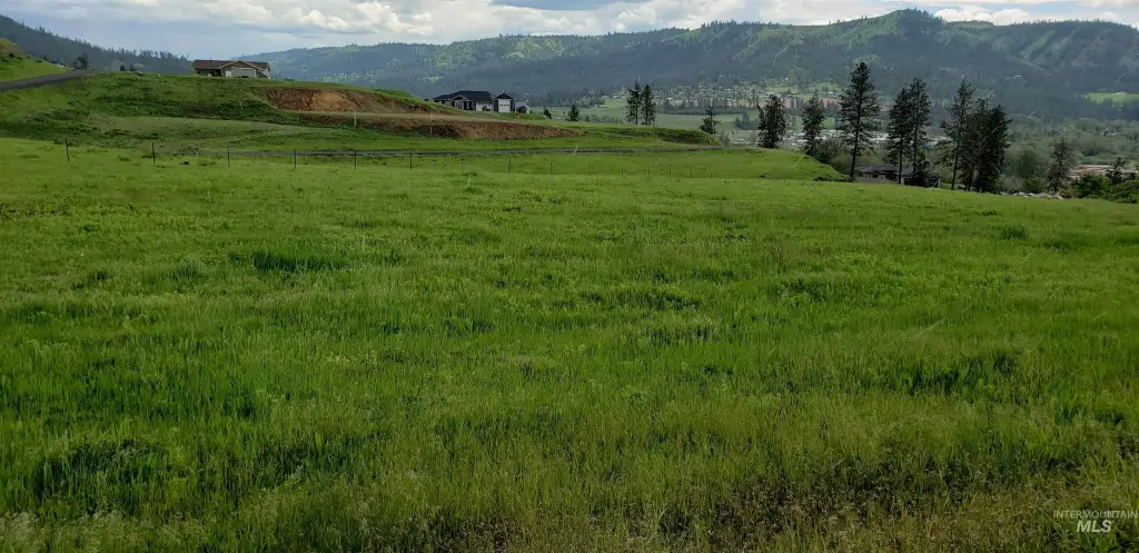 Picture 4