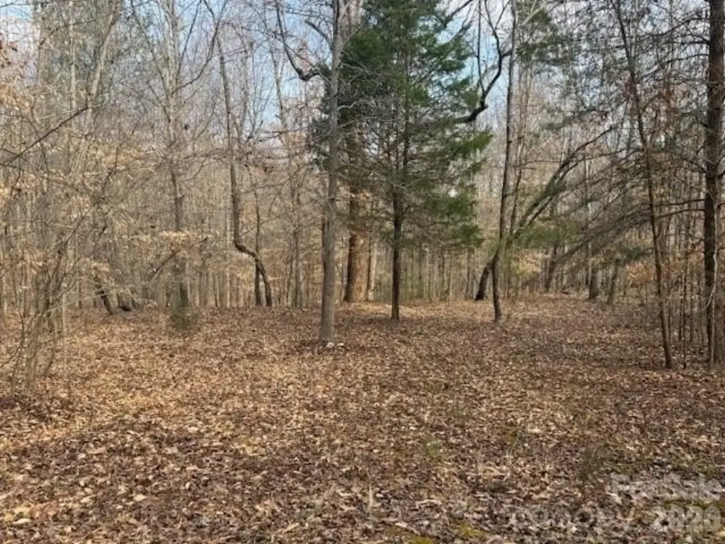 Picture 22