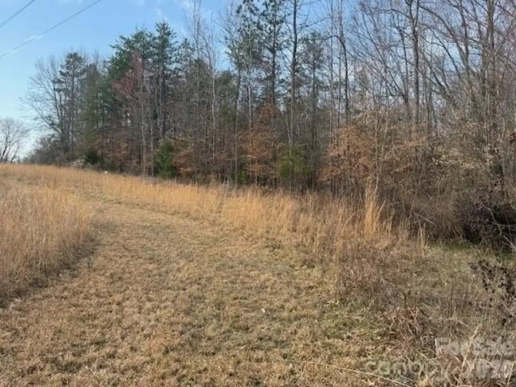 Picture 19