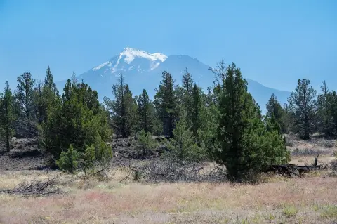 720 Acres with Mt. Shasta Views