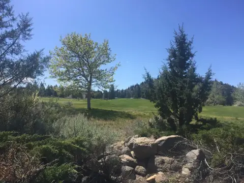Golf Course Lot in Weed