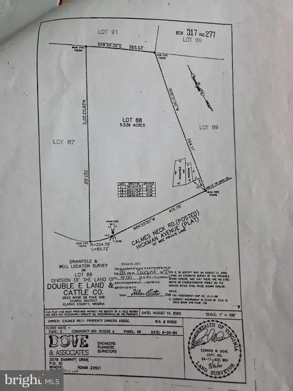 Picture 6