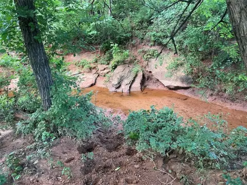 40 Acres on Paved Road