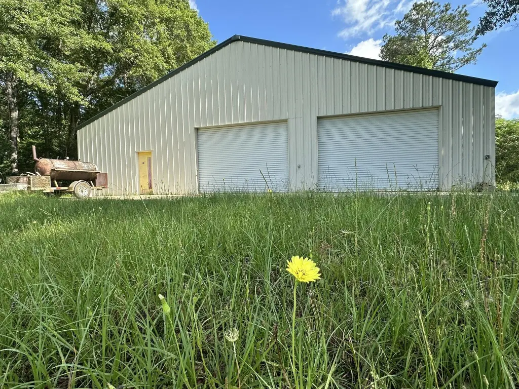 Picture 2