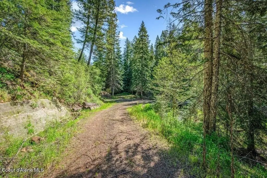 Picture 27