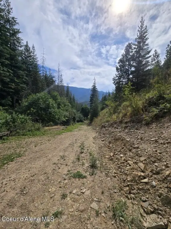 Picture 5