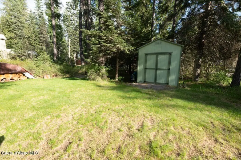 Picture 8