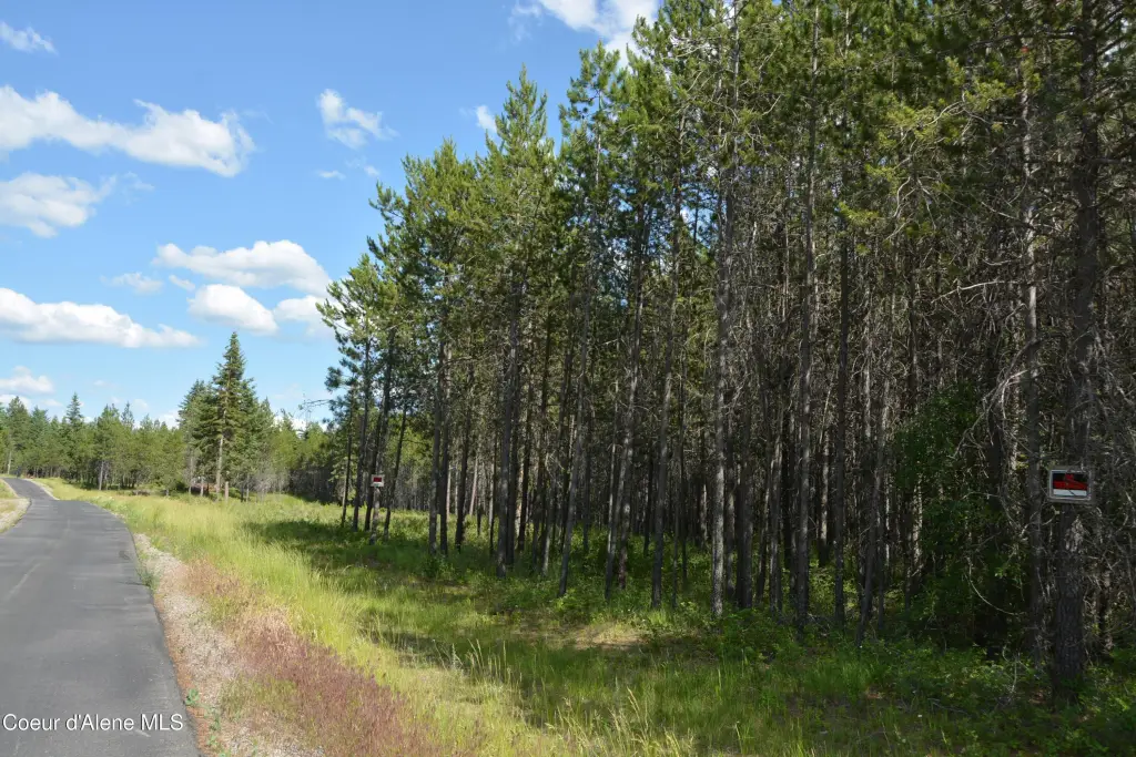 Picture 10
