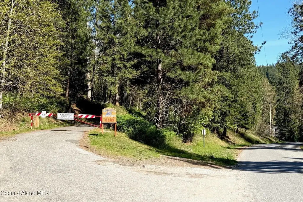 Picture 41