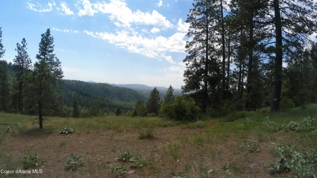 Picture 19