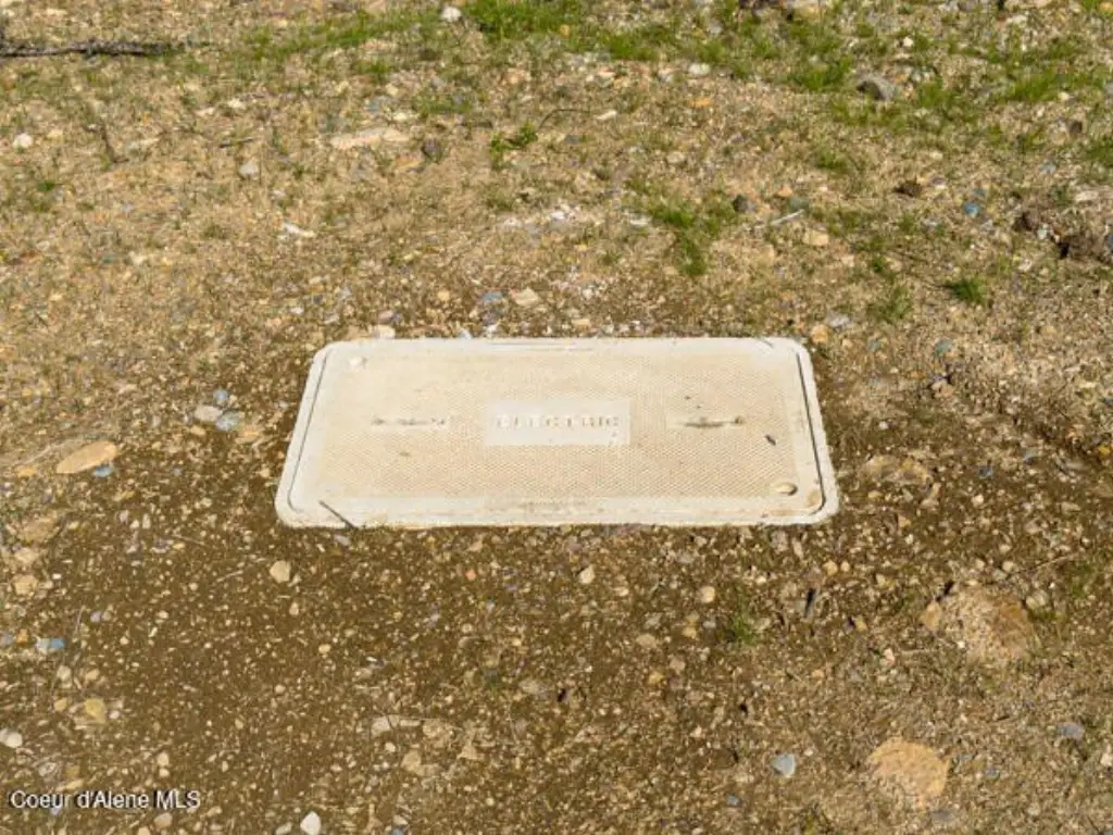Picture 16