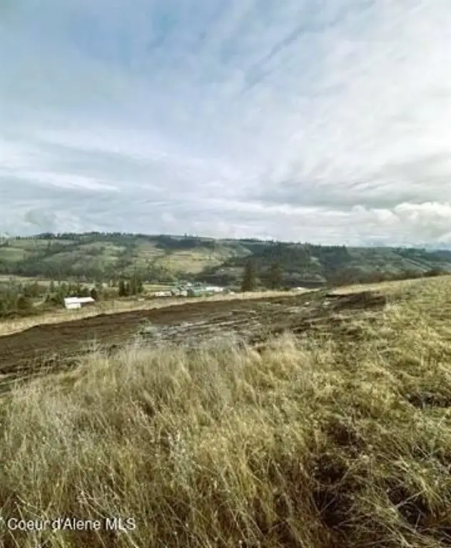 Picture 18