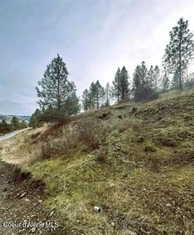 Picture 16