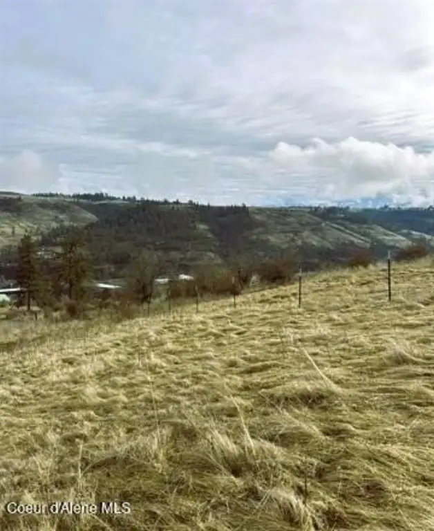 Picture 21