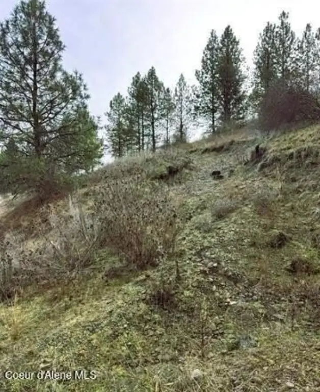 Picture 22