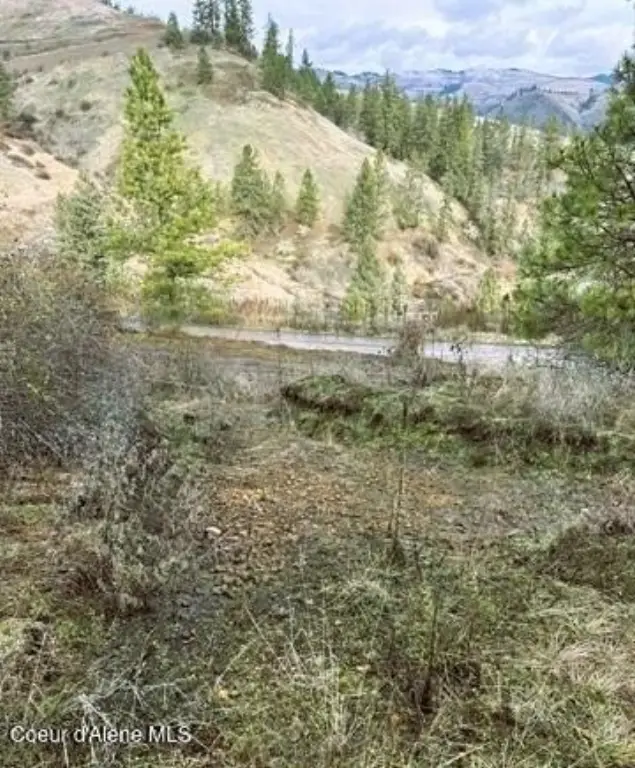 Picture 14