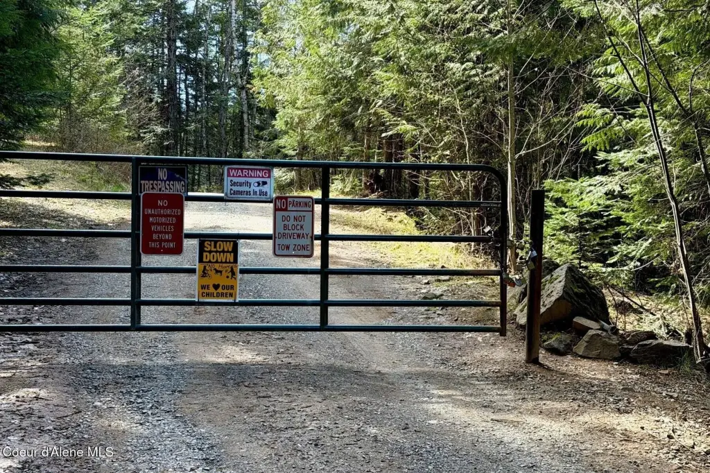 Picture 11