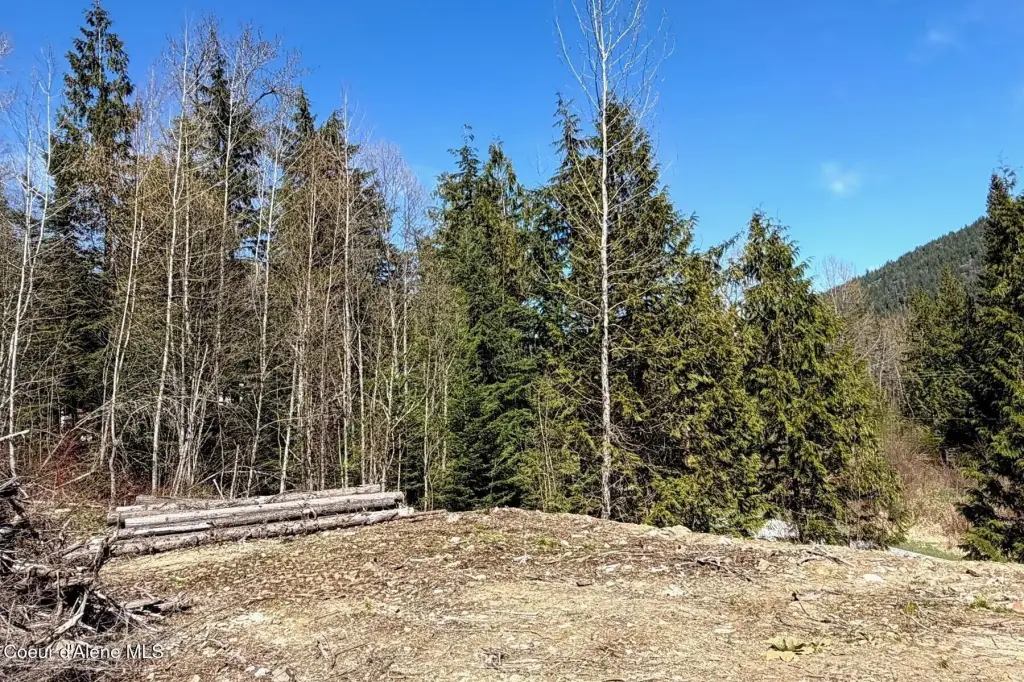Picture 19