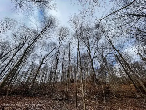 Campbellsburg Hunting Land For Sale